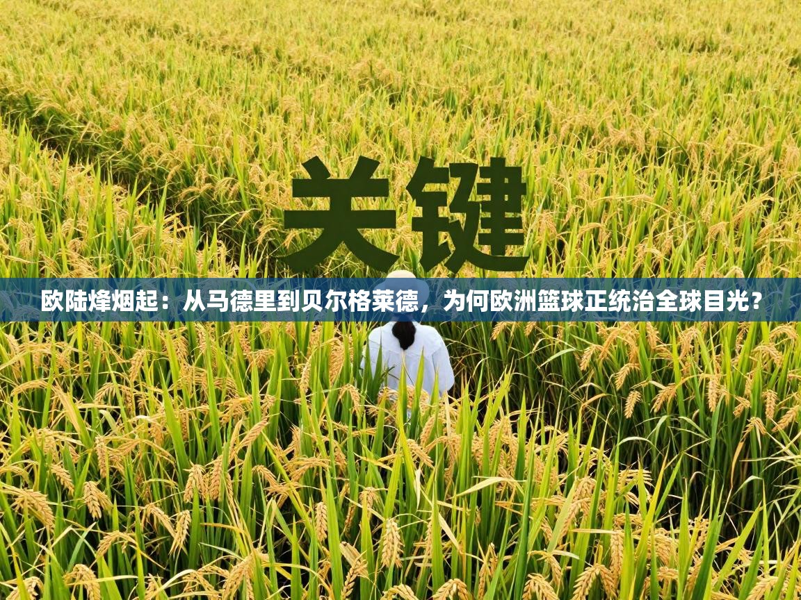 欧陆烽烟起：从马德里到贝尔格莱德，为何欧洲篮球正统治全球目光？  第2张