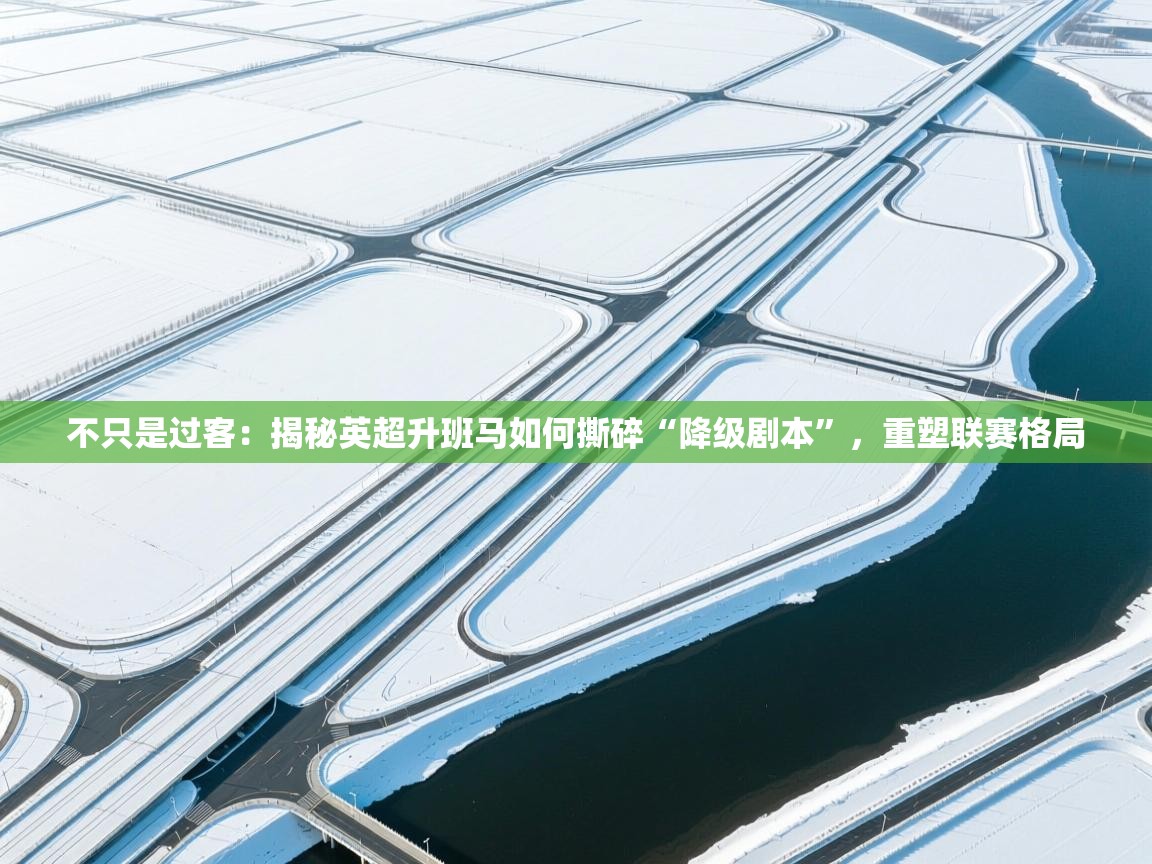 不只是过客:揭秘英超升班马如何撕碎“降级剧本”,重塑联赛格局 第1张