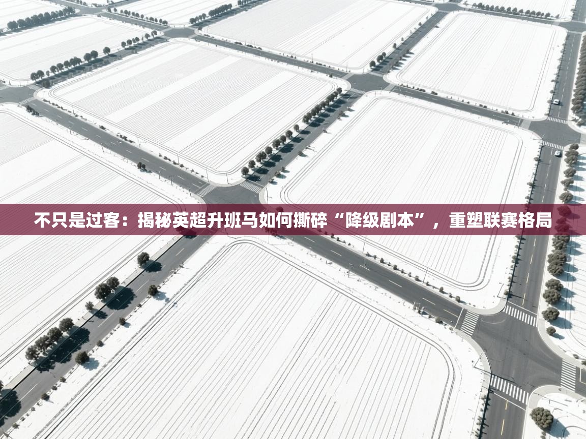 不只是过客:揭秘英超升班马如何撕碎“降级剧本”,重塑联赛格局 第2张