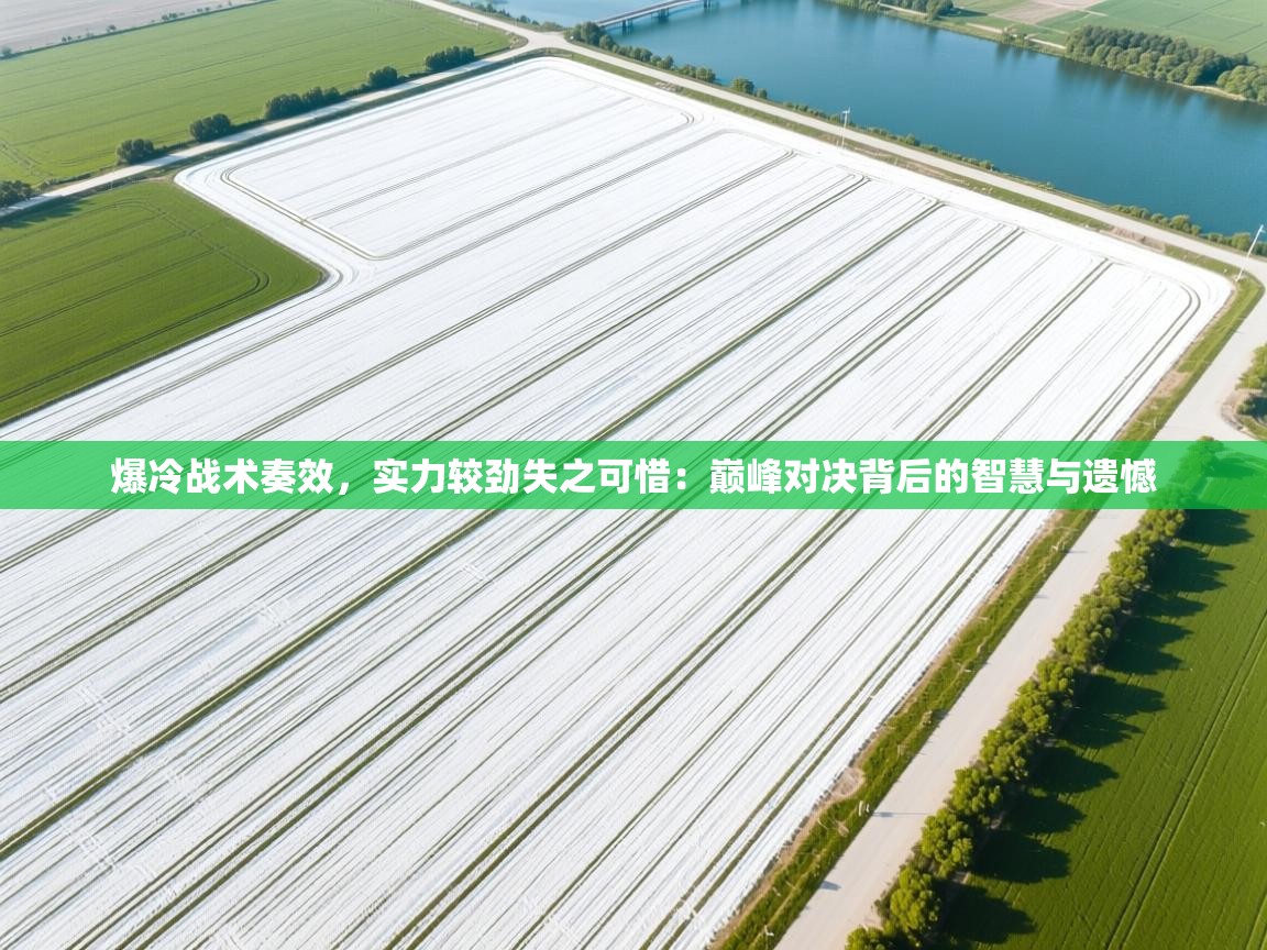 爆冷战术奏效，实力较劲失之可惜：巅峰对决背后的智慧与遗憾  第1张