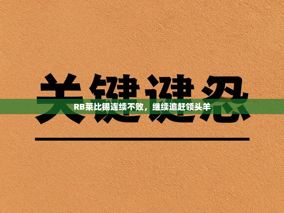 RB莱比锡连续不败，继续追赶领头羊  第1张