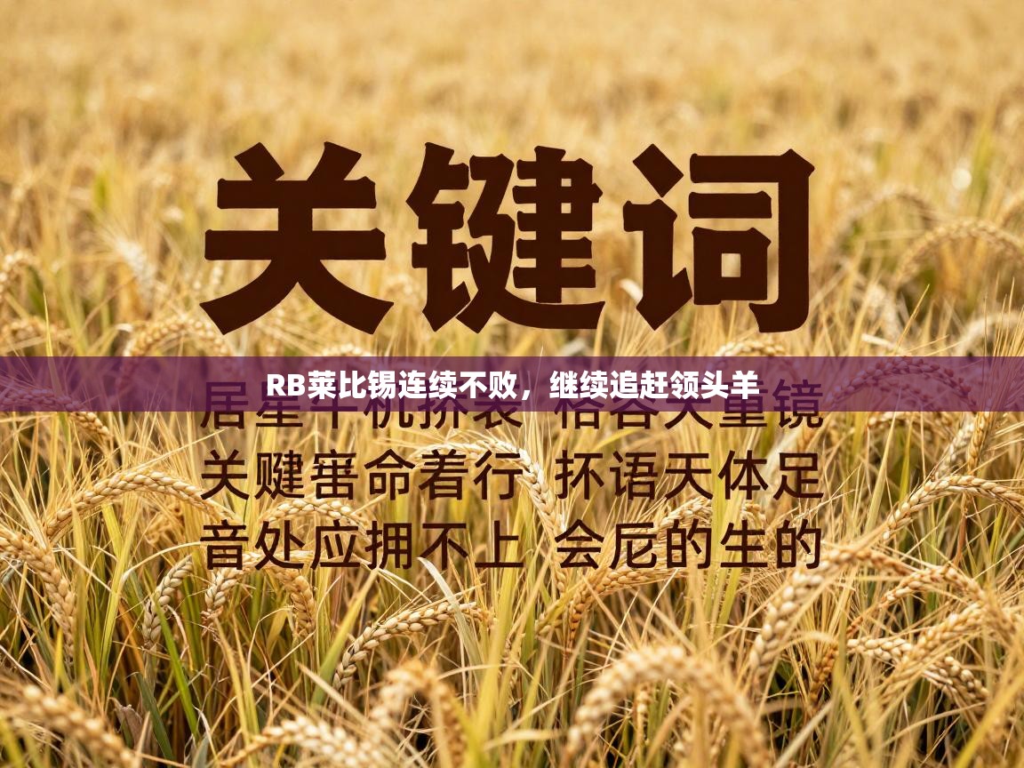 RB莱比锡连续不败，继续追赶领头羊  第2张